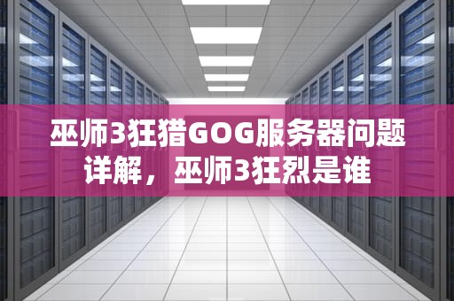 巫师3狂猎GOG服务器问题详解，巫师3狂烈是谁