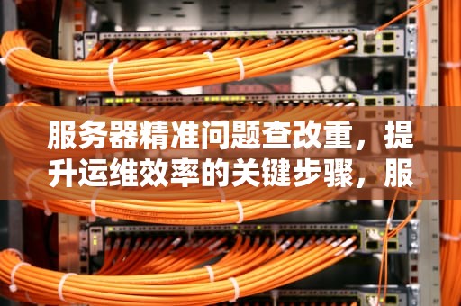 服务器精准问题查改重，提升运维效率的关键步骤，服务器整改