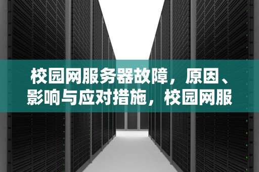 校园网服务器故障，原因、影响与应对措施，校园网服务器有问题怎么解决
