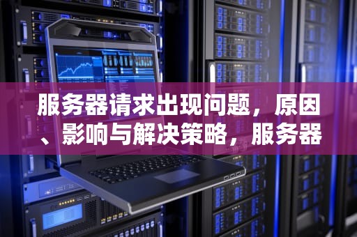 服务器请求出现问题，原因、影响与解决策略，服务器请求出现问题怎么解决