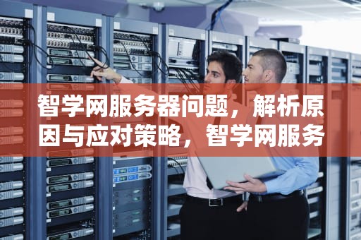 智学网服务器问题，解析原因与应对策略，智学网服务器出问题怎么办