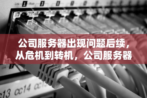 公司服务器出现问题后续，从危机到转机，公司服务器出现问题后续怎么处理