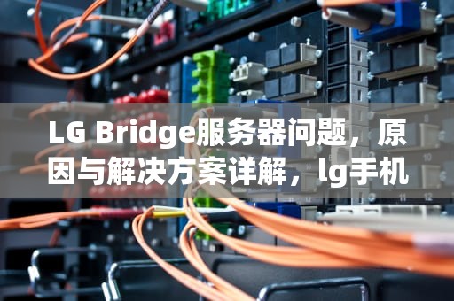 LG Bridge服务器问题，原因与解决方案详解，lg手机服务器不可用