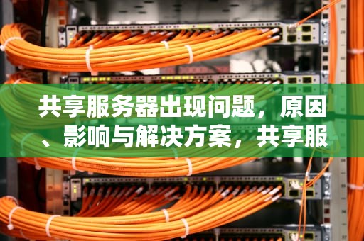 共享服务器出现问题，原因、影响与解决方案，共享服务器出现问题怎么解决