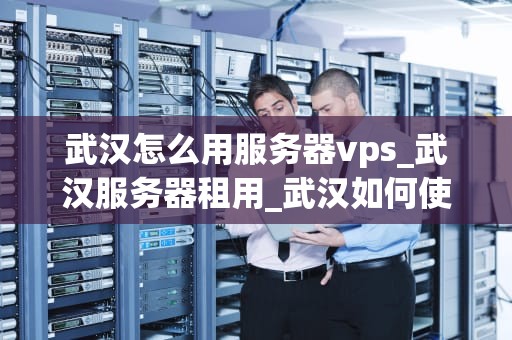 武汉怎么用服务器vps_武汉服务器租用_武汉如何使用服务器VPS的全面指南