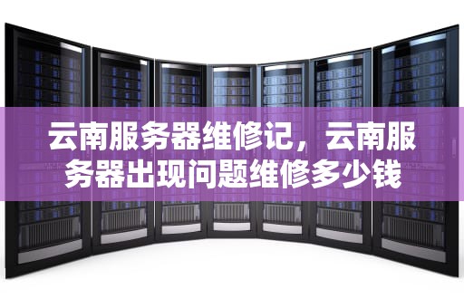 云南服务器维修记，云南服务器出现问题维修多少钱