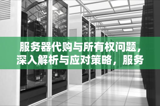 服务器代购与所有权问题，深入解析与应对策略，服务器代购 所有权问题有哪些