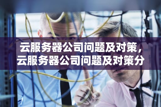 云服务器公司问题及对策，云服务器公司问题及对策分析