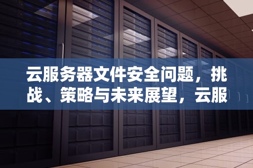 云服务器文件安全问题，挑战、策略与未来展望，云服务器文件安全问题怎么解决