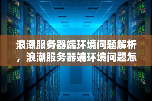 浪潮服务器端环境问题解析，浪潮服务器端环境问题怎么解决