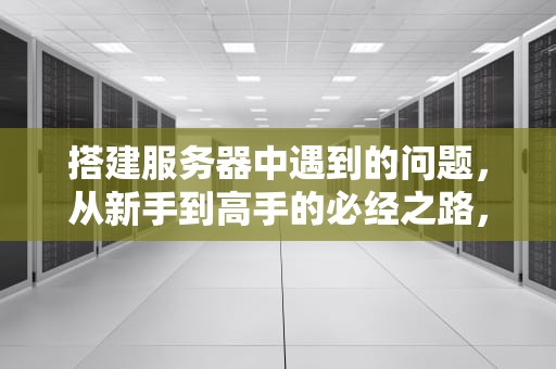 搭建服务器中遇到的问题，从新手到高手的必经之路，搭建服务器中遇到的问题有哪些