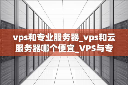 vps和专业服务器_vps和云服务器哪个便宜_VPS与专业服务器的比较分析