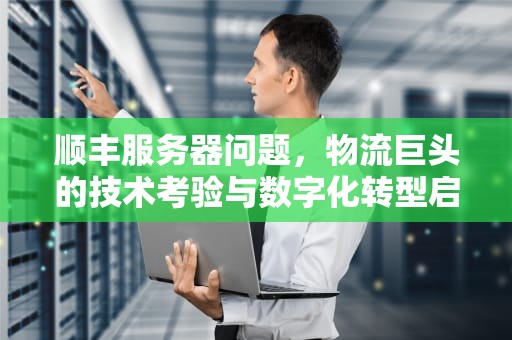 顺丰服务器问题，物流巨头的技术考验与数字化转型启示，顺丰服务器什么问题不能发货