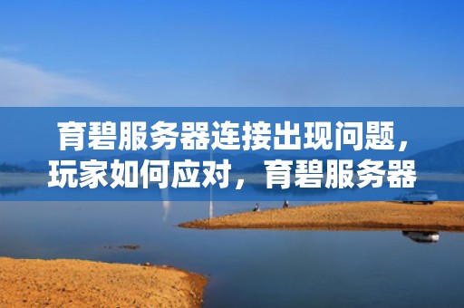 育碧服务器连接出现问题，玩家如何应对，育碧服务器连接出现问题怎么解决