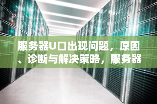 服务器U口出现问题，原因、诊断与解决策略，服务器u口不能用了