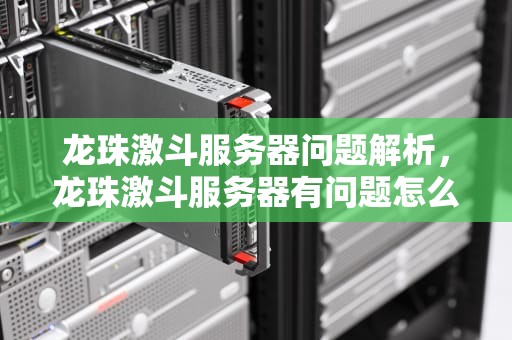 龙珠激斗服务器问题解析，龙珠激斗服务器有问题怎么解决