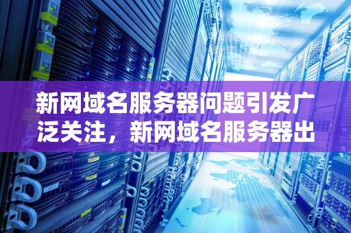 新网域名服务器问题引发广泛关注，新网域名服务器出问题怎么解决