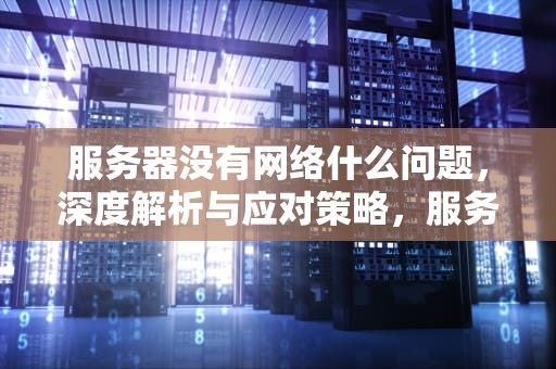 服务器没有网络什么问题，深度解析与应对策略，服务器没有网络什么问题啊