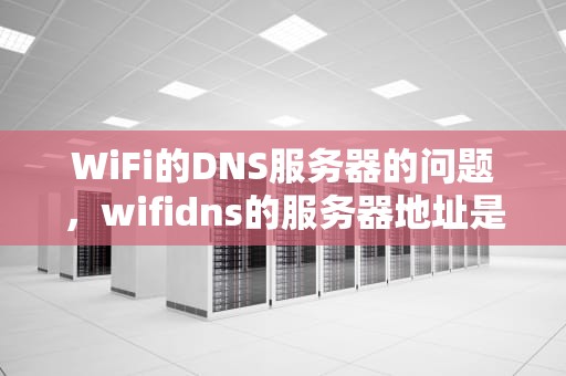 WiFi的DNS服务器的问题，wifidns的服务器地址是多少