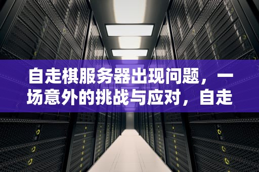 自走棋服务器出现问题，一场意外的挑战与应对，自走棋服务器出现问题怎么解决