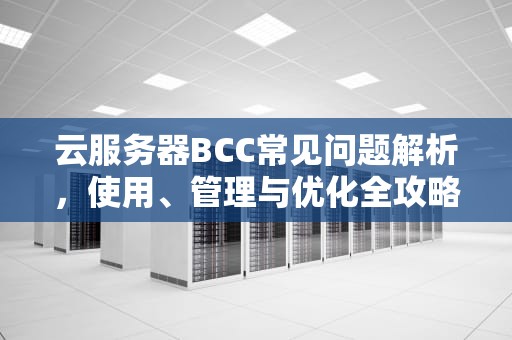 云服务器BCC常见问题解析，使用、管理与优化全攻略，云服务器bcc常见问题有哪些