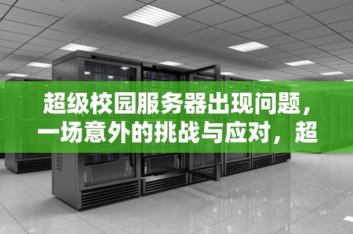 超级校园服务器出现问题，一场意外的挑战与应对，超级校园服务器出现问题怎么解决