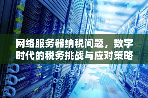 网络服务器纳税问题，数字时代的税务挑战与应对策略，网络服务器纳税问题有哪些