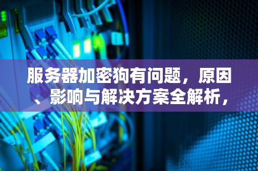 服务器加密狗有问题，原因、影响与解决方案全解析，服务器加密狗有误