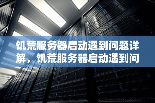饥荒服务器启动遇到问题详解，饥荒服务器启动遇到问题怎么解决