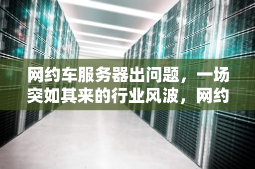 网约车服务器出问题，一场突如其来的行业风波，网约车服务器出问题怎么办