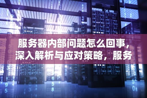 服务器内部问题怎么回事，深入解析与应对策略，服务器内部问题怎么回事啊