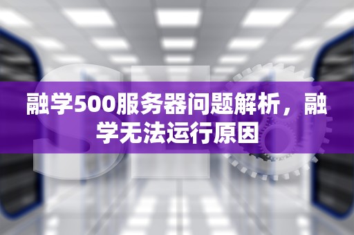融学500服务器问题解析，融学无法运行原因
