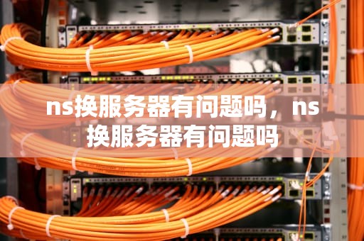 ns换服务器有问题吗，ns换服务器有问题吗