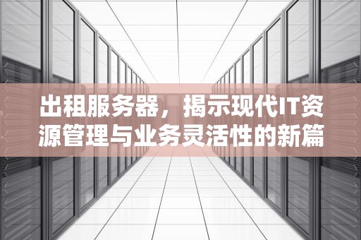 出租服务器，揭示现代IT资源管理与业务灵活性的新篇章，出租服务器说明什么问题啊