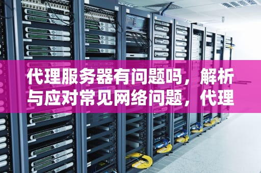 代理服务器有问题吗，解析与应对常见网络问题，代理服务器有问题吗怎么解决