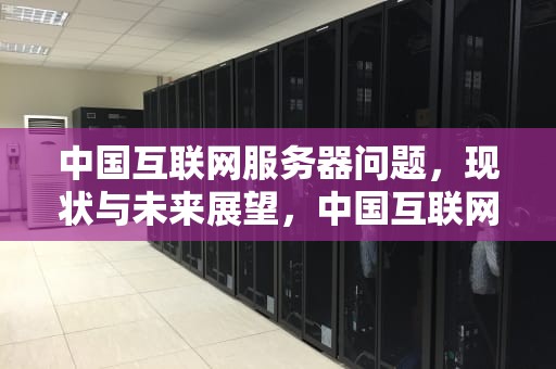 中国互联网服务器问题，现状与未来展望，中国互联网服务器问题有哪些