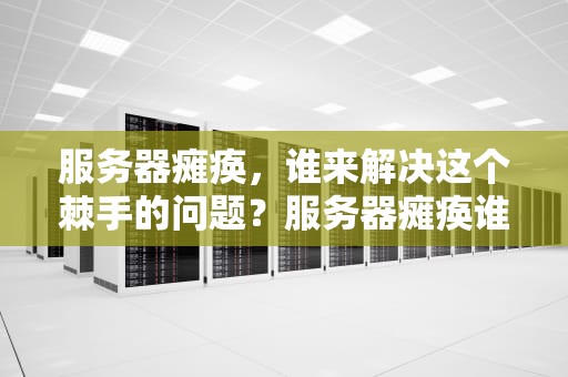 服务器瘫痪，谁来解决这个棘手的问题？服务器瘫痪谁解决问题了