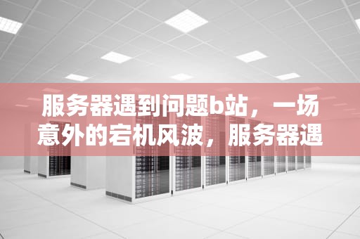 服务器遇到问题b站，一场意外的宕机风波，服务器遇到问题b站怎么解决