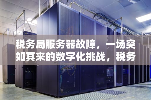 税务局服务器故障，一场突如其来的数字化挑战，税务局服务器有问题怎么办