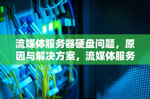 流媒体服务器硬盘问题，原因与解决方案，流媒体服务器硬盘问题怎么解决