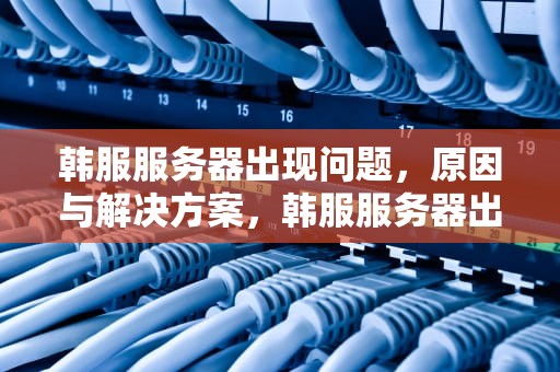 韩服服务器出现问题，原因与解决方案，韩服服务器出现问题怎么解决
