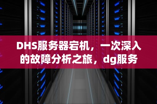 DHS服务器宕机，一次深入的故障分析之旅，dg服务器异常什么意思