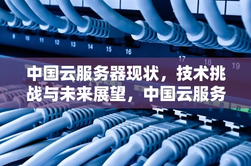 中国云服务器现状，技术挑战与未来展望，中国云服务器有问题吗知乎