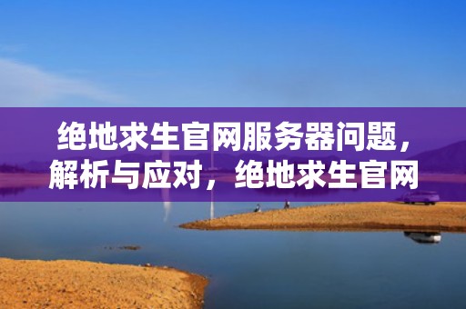 绝地求生官网服务器问题，解析与应对，绝地求生官网服务器问题解决