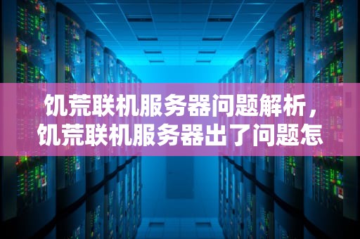 饥荒联机服务器问题解析，饥荒联机服务器出了问题怎么办