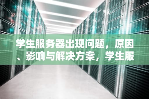 学生服务器出现问题，原因、影响与解决方案，学生服务器出现问题怎么解决