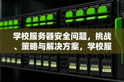 学校服务器安全问题，挑战、策略与解决方案，学校服务器安全问题有哪些