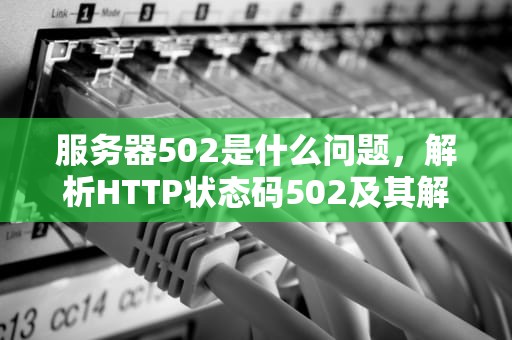 服务器502是什么问题，解析HTTP状态码502及其解决方案，服务器502异常怎么办