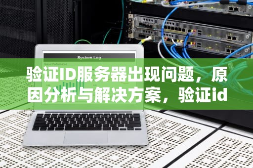 验证ID服务器出现问题，原因分析与解决方案，验证id服务器出现问题是怎么回事