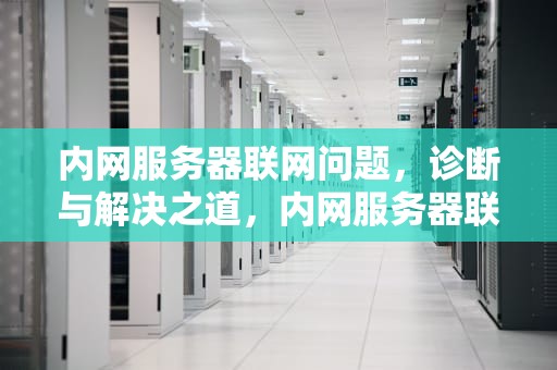 内网服务器联网问题，诊断与解决之道，内网服务器联网出现问题怎么解决